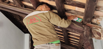 hieu-qua-dem-lai-dich-vu-diet-moi-tai-quang-nam