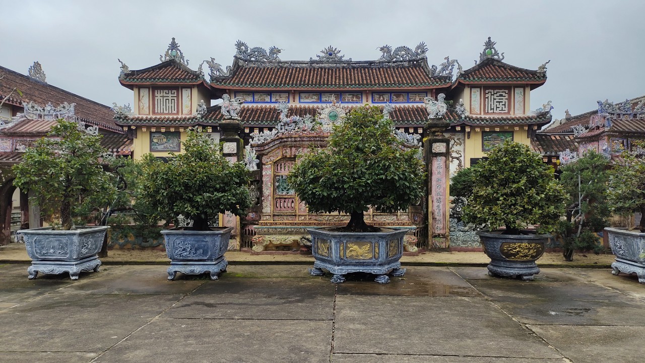 Diệt Mối Tận Gốc Tại Hội An