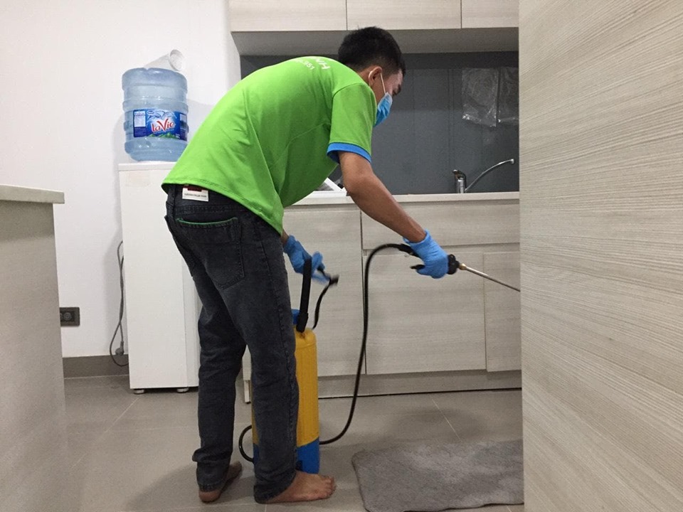 Diệt Mối tại A Lưới