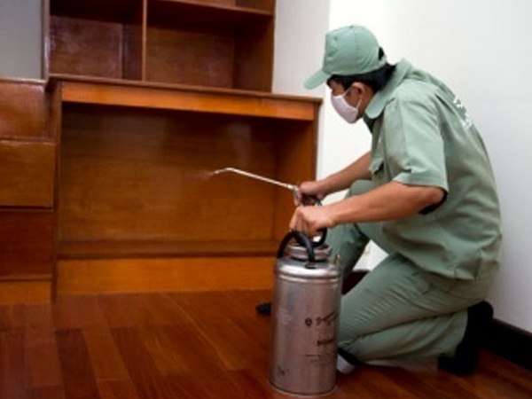 Diệt Mối tại Sơn Phong