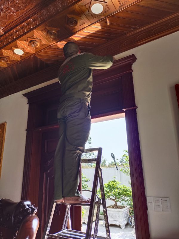 Diệt Mối tại Tân An