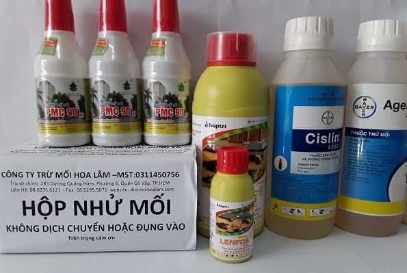 Thuốc Diệt Mối Tại Hội AN