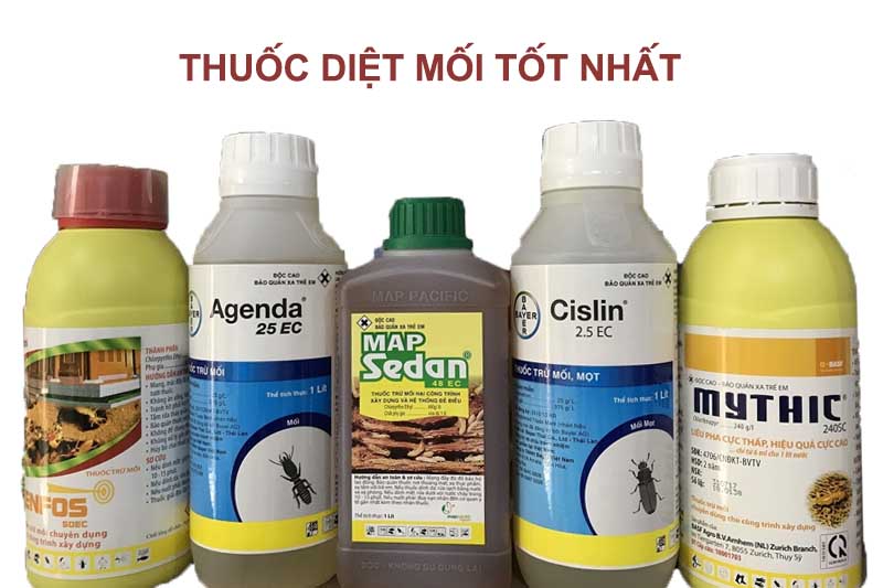 Phân Phối Thuốc Diệt Mối Tại Huế