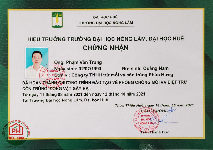 Diệt mối tại Huế