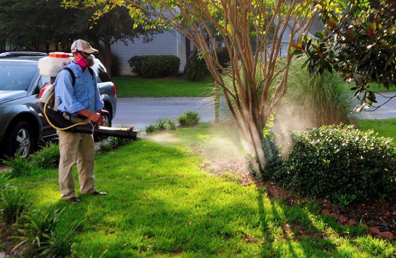 Dịch vụ diệt mối tại Nha Trang